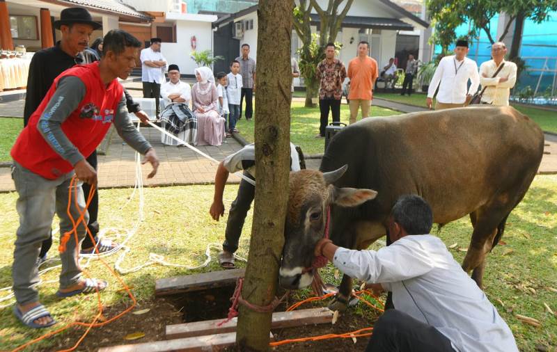 Pelaksanaan Kurban di Rumah Dinas Gubernur Jabar