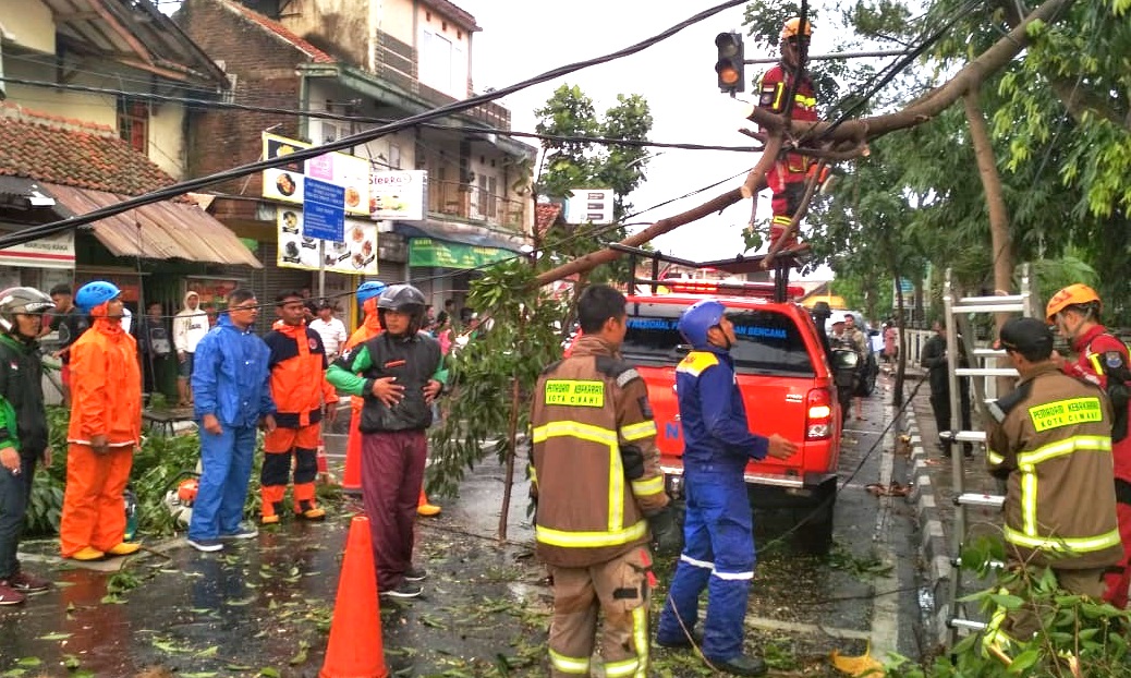 Hujan Pertama Tumbangkan Tiga Pohon Besar