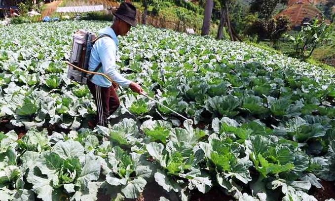 Hadapi Kemarau Panjang, Petani Disarankan Gunakan Teknologi