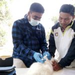 Cegah Penularan Rabies, Ribuan Hewan Divaksinasi