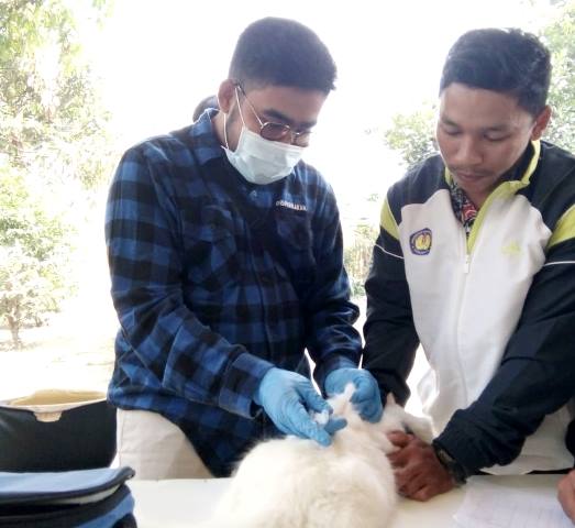 Cegah Penularan Rabies, Ribuan Hewan Divaksinasi