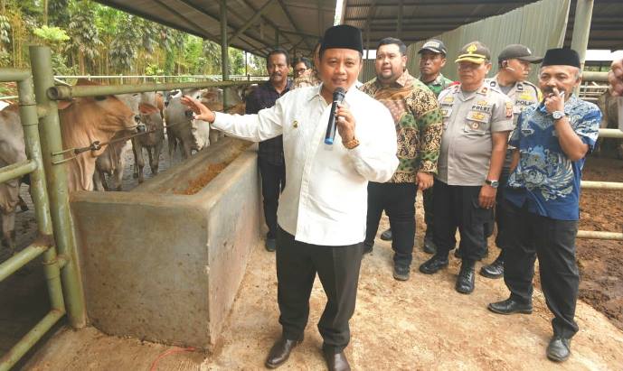Pemdaprov Jabar akan Gelar Pelatihan Ternak Sapi untuk Santri Milenial
