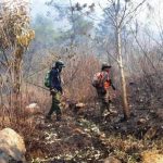 Potensi Kebakaran lahan