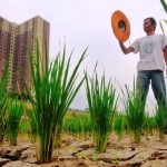 Hujan Belum Merata, Kekeringan Terus Meluas