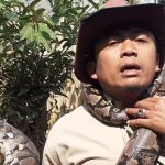 Presenter Steve Ewon Ikuti Pilkades Serentak