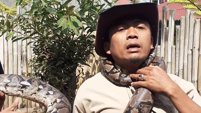 Presenter Steve Ewon Ikuti Pilkades Serentak