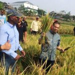 Produksi Padi Cimahi Masih Jauh untuk Menutupi Kebutuhan