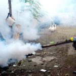 Musim Hujan, Ancaman DBD Sangat Tinggi