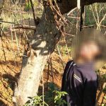 Seorang Pria Tewas Tergantung di Pohon