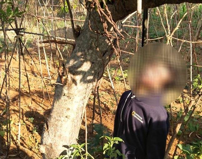 Seorang Pria Tewas Tergantung di Pohon