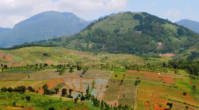 Dishut Jabar akan Luncurkan E-Tanam