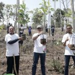 PLN Peduli Tanam Pohon Serentak untuk Hari Menanam Pohon Nasional