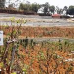 Tanah Warga Diserobot TPU Lebak Saat