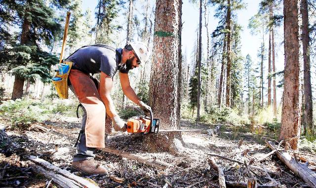 Enam Pelaku Dijatuhi Sanksi
