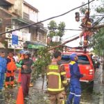 Pohon Milik Pemkot Cimahi Diasuransikan