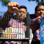 Gagasan Oded Diklaim dapat Perhatian Media Internasional