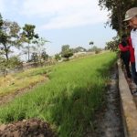 Bentuk Satlak untuk Tangani Bencana