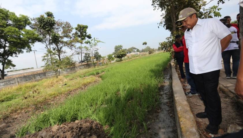 Bentuk Satlak untuk Tangani Bencana Bentuk Satlak untuk Tangani Bencana