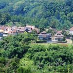  Lahan Kritis Penyebab Bencana!