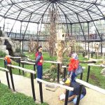 Lembang Park and Zoo Berikan Edukasi Satwa bagi Pengunjung