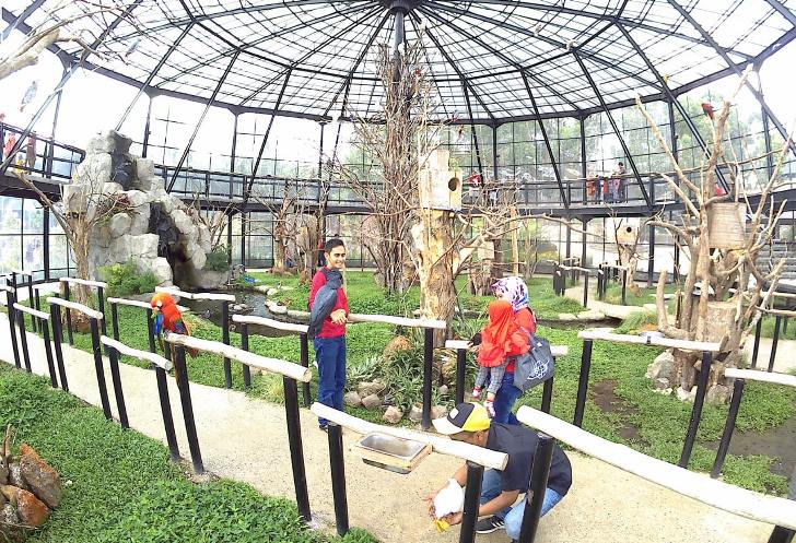 Lembang Park and Zoo Berikan Edukasi Satwa bagi Pengunjung