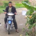 Warga Tanam Pohon Pisang di Jalan