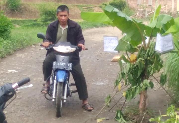 Warga Tanam Pohon Pisang di Jalan
