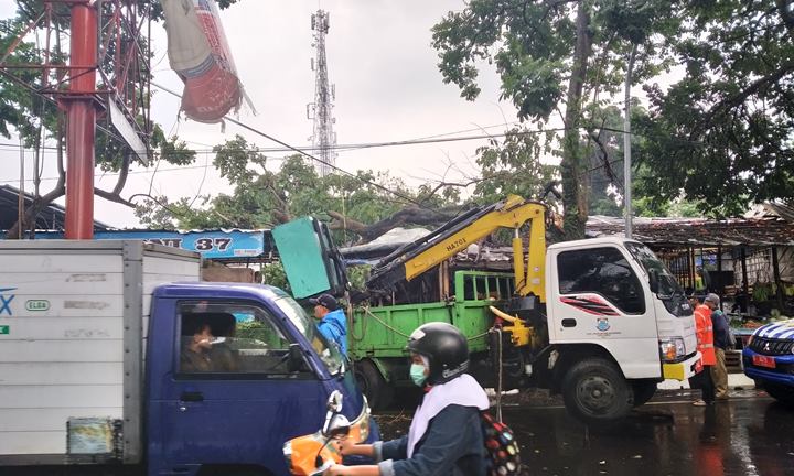 Pohon Milik Pemkot Cimahi Diasuransikan