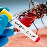 Ilustrasi Demam Berdarah Dengue (DBD). (Istimewa)