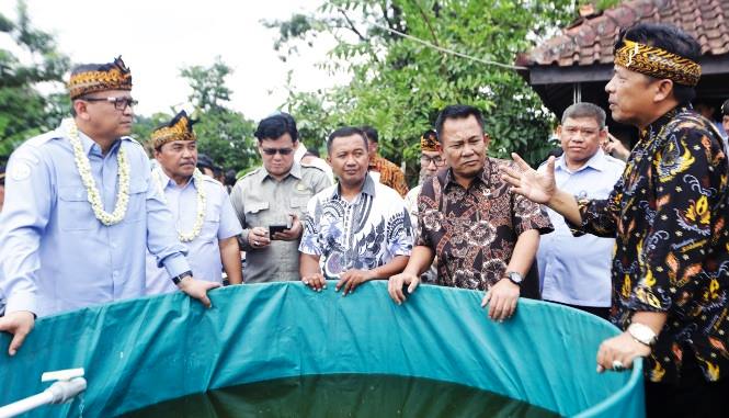 Budidaya Tingkatkan Produksi Ikan Budidaya Tingkatkan Produksi Ikan