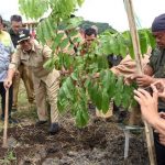 Rintis Hutan Tematik Nusantara