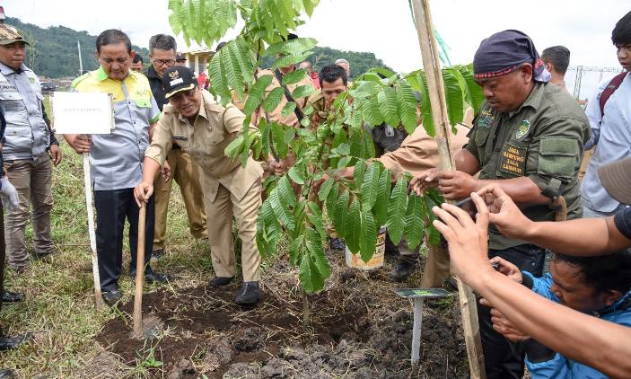 Rintis Hutan Tematik Nusantara
