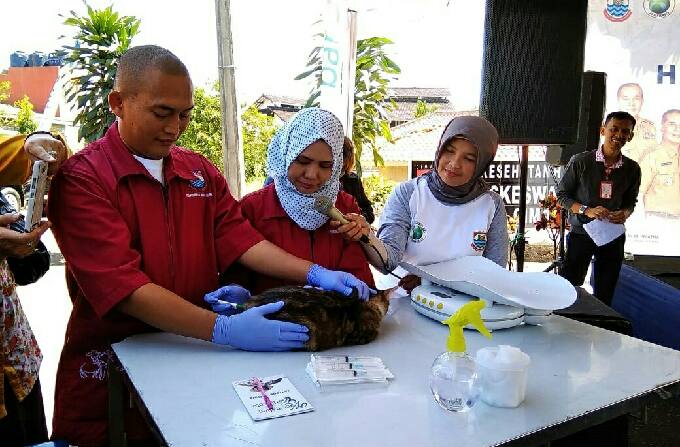 Pemberian Vaksin Flu Burung dan Rabies Dimulai Februari