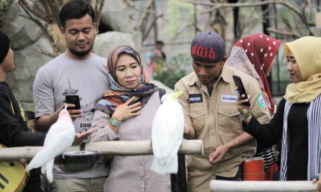 Selama Nataru, Ribuan Pengunjung Padati Wisata Lembang Park and Zoo