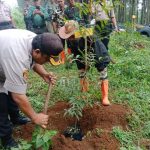 Jaga Kondisi Alam, Tiga Ribu Pohon Ditanam di Lembang