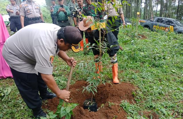Jaga Kondisi Alam, Tiga Ribu Pohon Ditanam di Lembang Jaga Kondisi Alam, Tiga Ribu Pohon Ditanam di Lembang