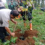 Cegah Bencana, Tanam 2.800 Pohon Cegah Bencana, Tanam 2.800 Pohon