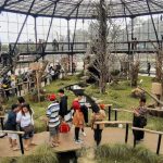 Perhutani Klaim Kunjungan Naik 20 %