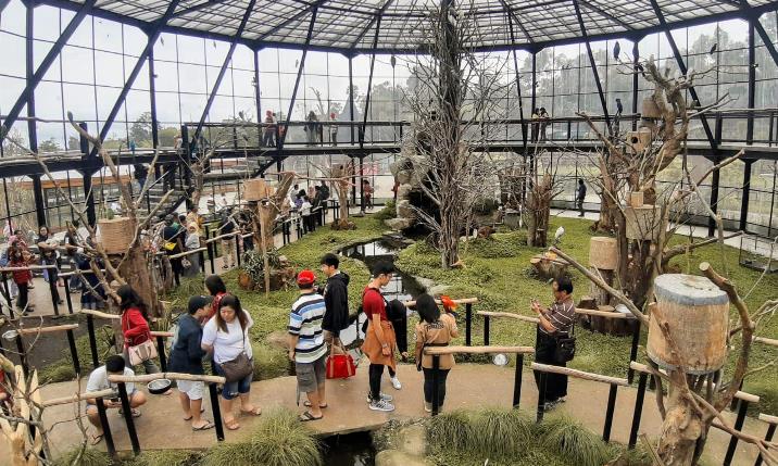 Perhutani Klaim Kunjungan Naik 20 %