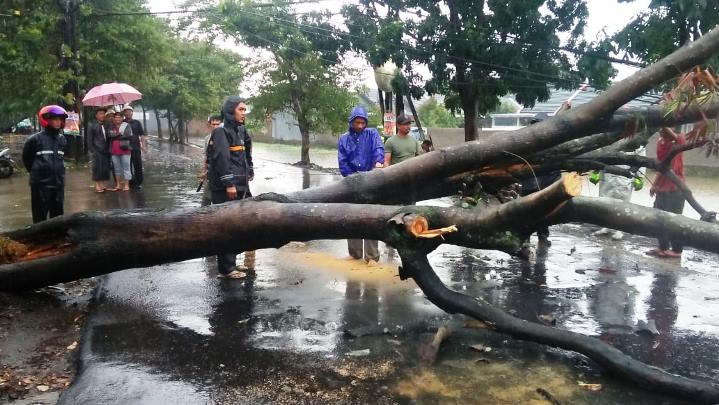 Seminggu ke Depan Diprediksi Bakal Terjadi Hujan Disertai Angin