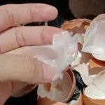 Diduga Beredar Telur Palsu