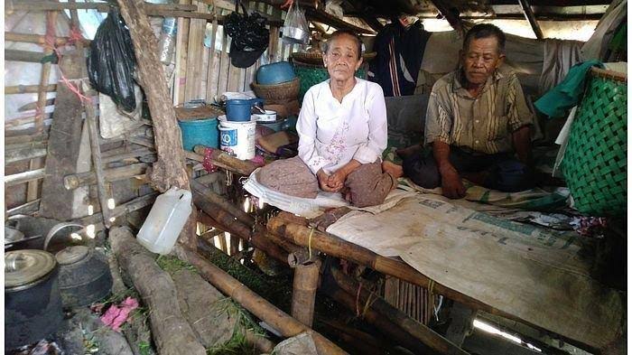 Pemerintah Ambil Langkah Cepat