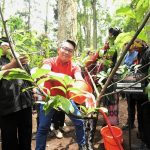 Emil dan Petinggi PDIP Lakukan Penanaman Pohon di Ciwidey