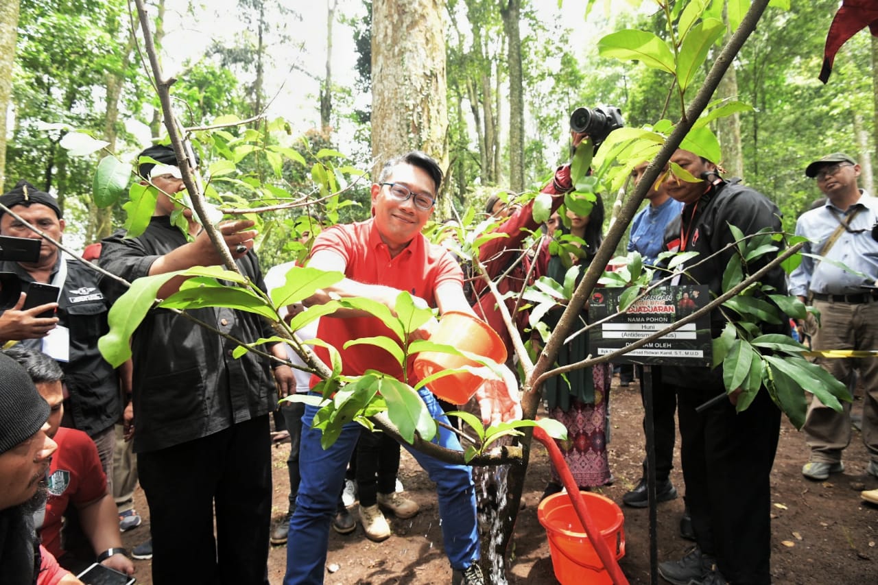 Emil dan Petinggi PDIP Lakukan Penanaman Pohon di Ciwidey