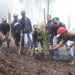 Pelestarian Alam Melalui Konsep Wisata Arboretum