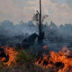 Ancam Copot Pejabat TNI-Polri Jika Tidak Bisa Mengatasi Karhutla