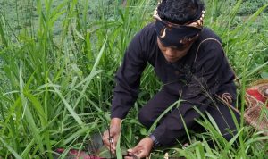 Ilustrasi: Seorang dukun sedang melakukan ritual gandakan uang disebuah tempat yang dianggap angker
