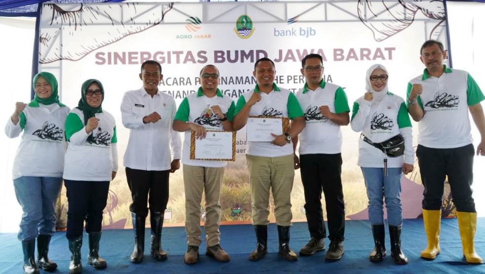 Sinergitas BUMD Jawa Barat, bank bjb Salurkan Kredit kepada PT Agro Jabar