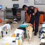 Mulai Februari Bea Cukai Berlakukan Ketentuan Baru