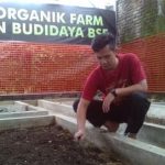 Budi Daya Maggot Bisa Kurangi Volume Sampah